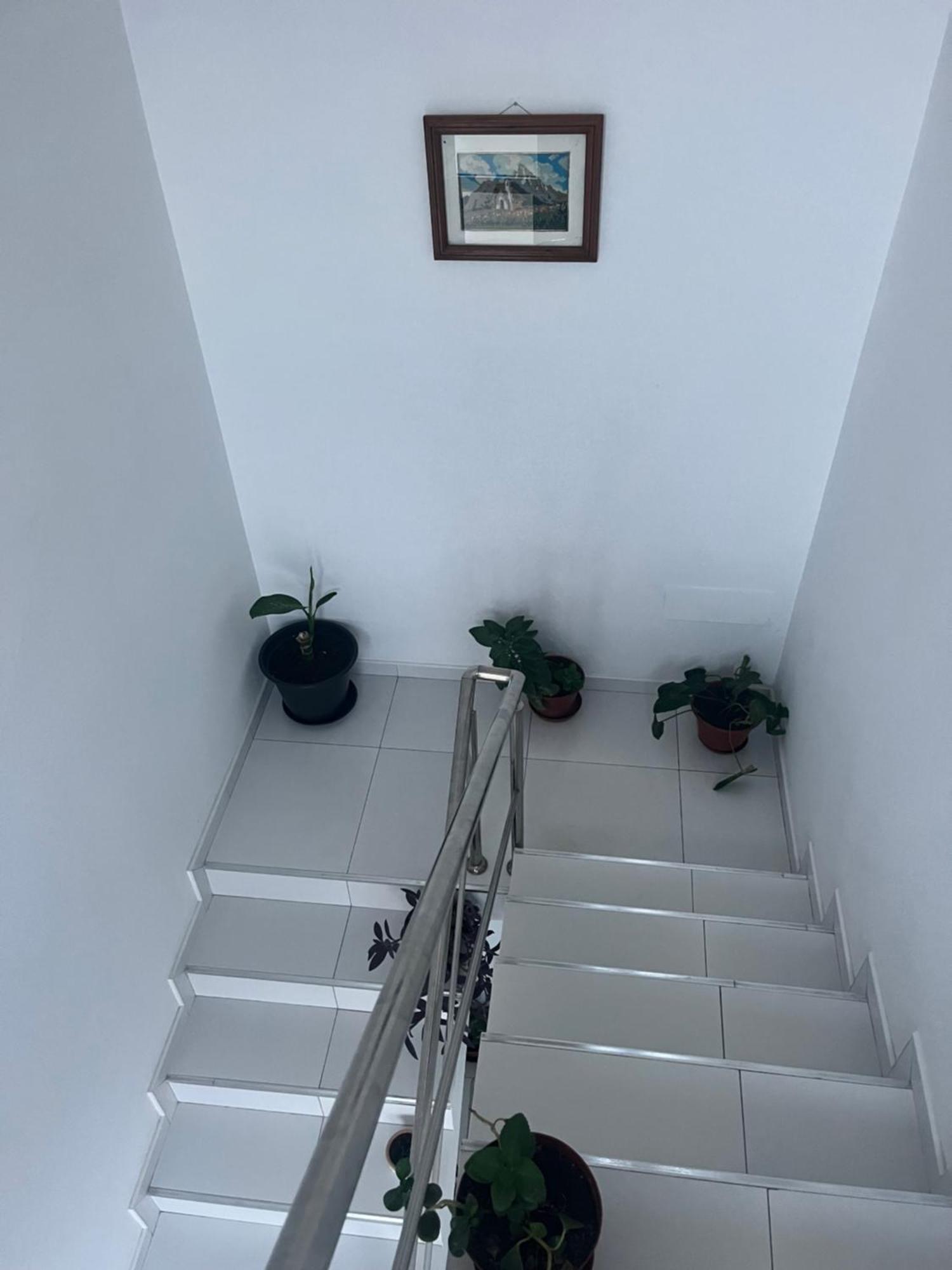 Oasis De Retour Apartman Ponta Do Sol Kültér fotó