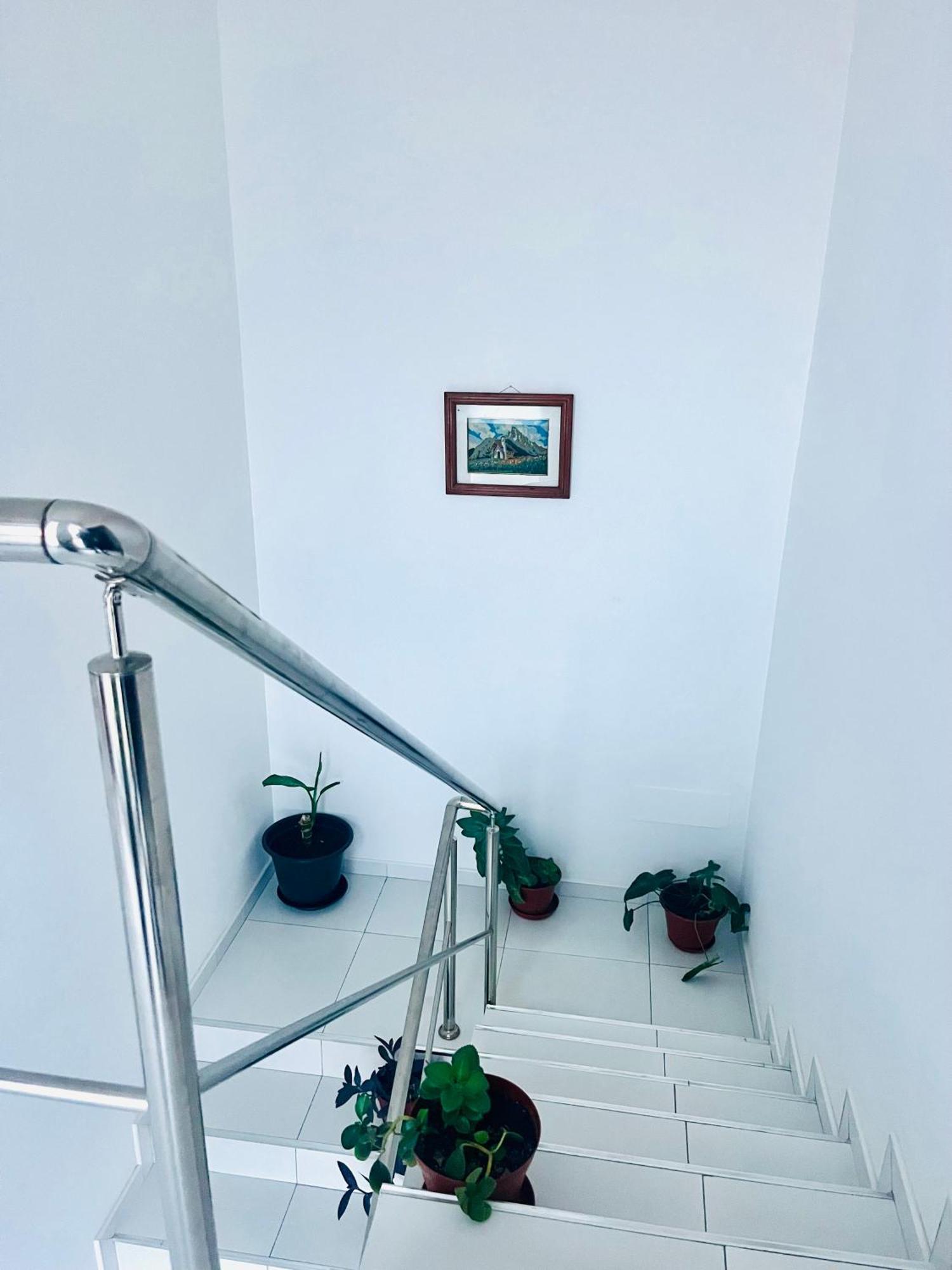 Oasis De Retour Apartman Ponta Do Sol Kültér fotó