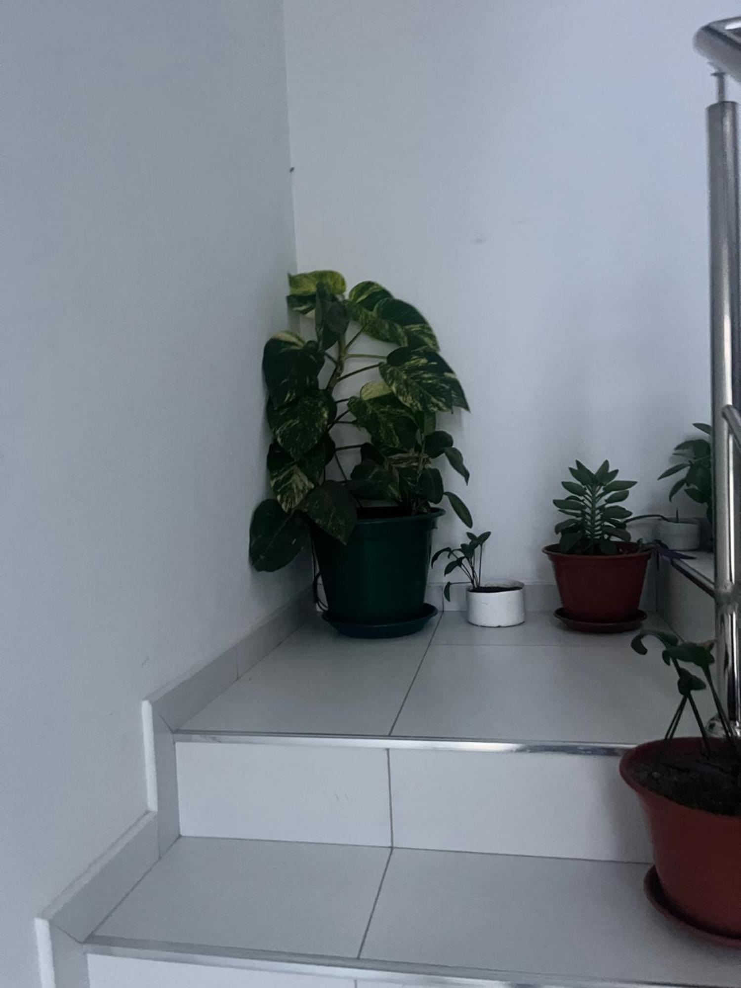 Oasis De Retour Apartman Ponta Do Sol Kültér fotó